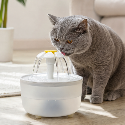 Chat gris buvant à une fontaine à eau Daisy ChoupiZoo avec eau en mouvement dans un intérieur lumineux.