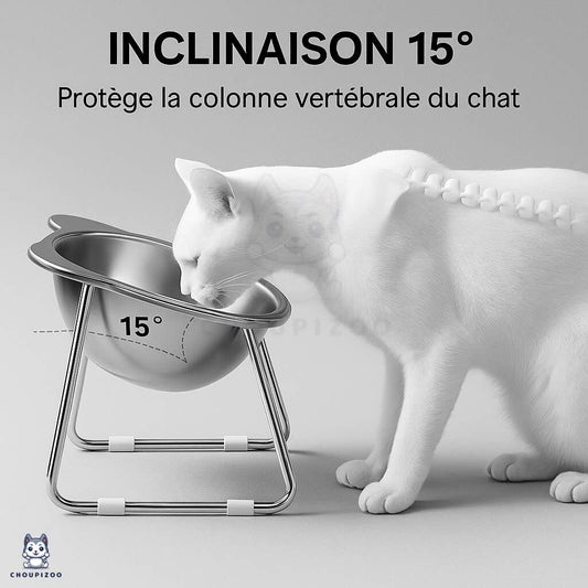 Gamelle Élevée Inclinée 15° en Acier Inoxydable – Confort & Santé Pour Chats et Chiots