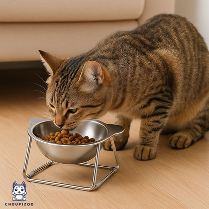 Gamelle Élevée Inclinée 15° en Acier Inoxydable – Confort & Santé Pour Chats et Chiots