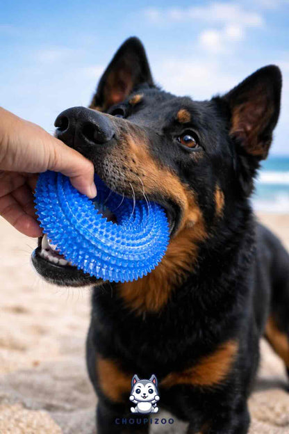 Anneau à mâcher interactif pour chien – Jouet sonore et nettoyant dentaire