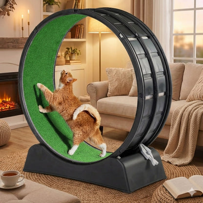 Roue pour chat de 39pouces ActiveRun